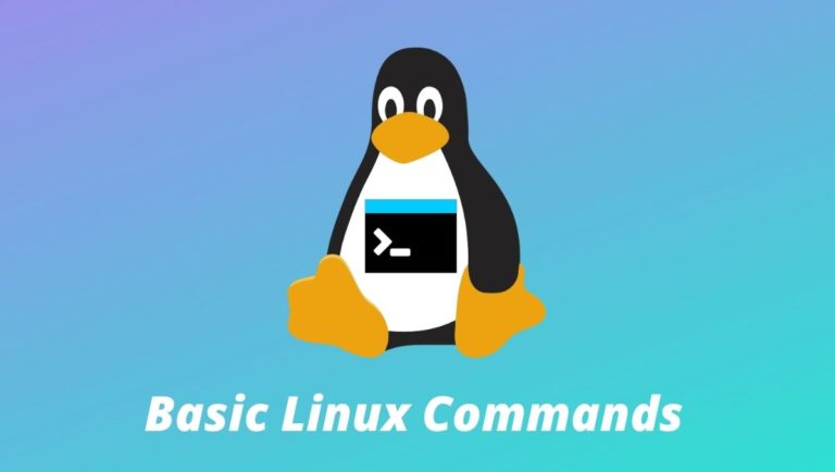 30 Basic Linux Commands For Beginners [Linux 101]