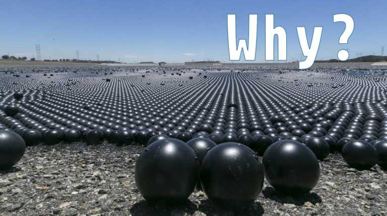 Explained: How 96 Million Black Plastic Shade Balls Are Saving L.A. From Drought