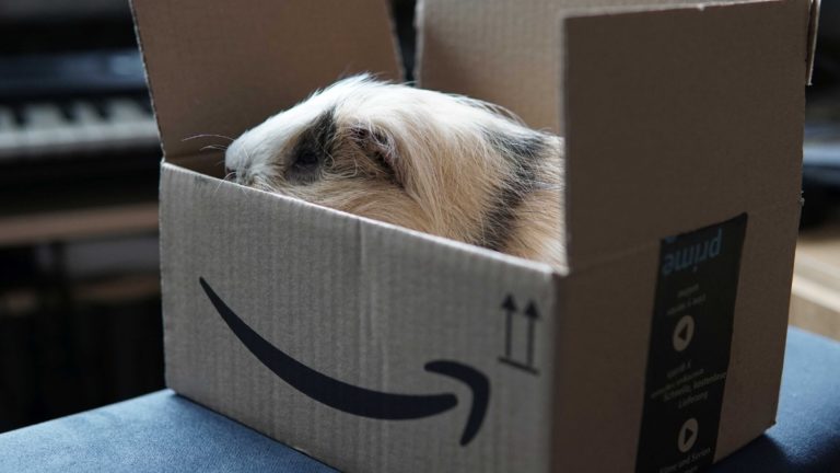 How To Get Amazon Prime For Free In India & The U.S.? (Streaming & Delivery)