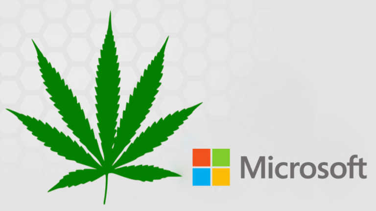 Microsoft Invests In Marijuana Business, First Major Tech Company To Do So